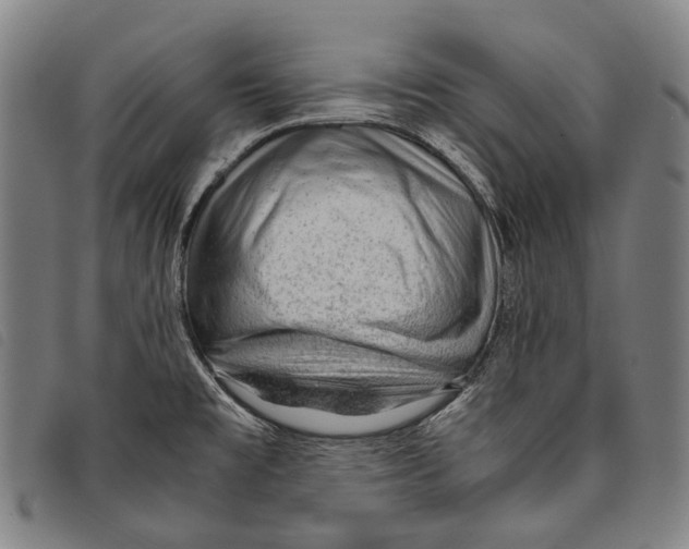 X0000097841477200804041432