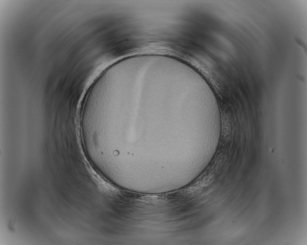 X0000097841478200804041432
