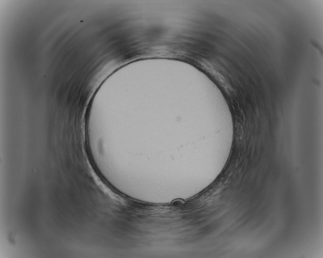 X0000097841479200804041432