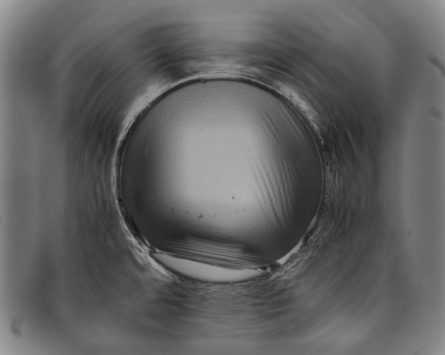 X0000097841480200804041432