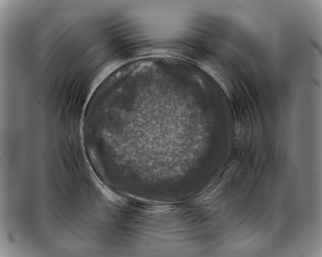 X0000097841482200804041432