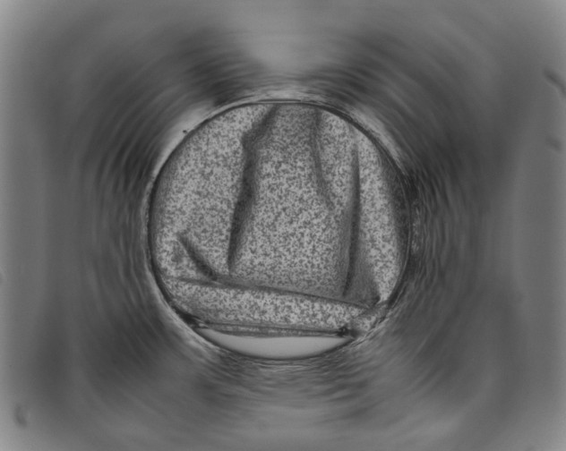 X0000097841483200804041432