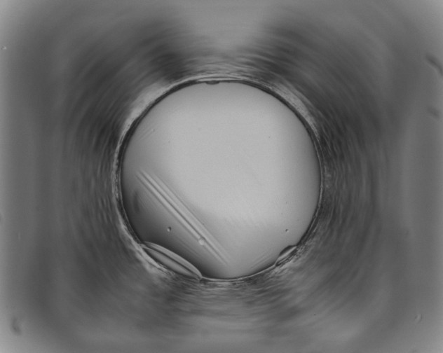 X0000097841485200804041432