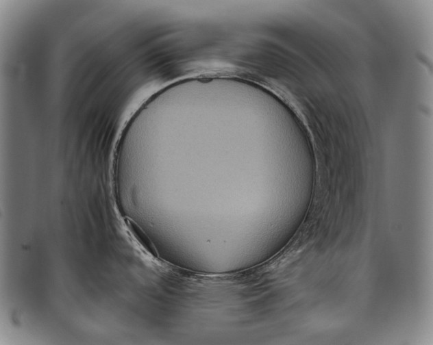 X0000097841488200804041432