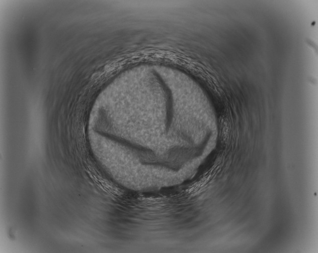 X0000097841489200804041431