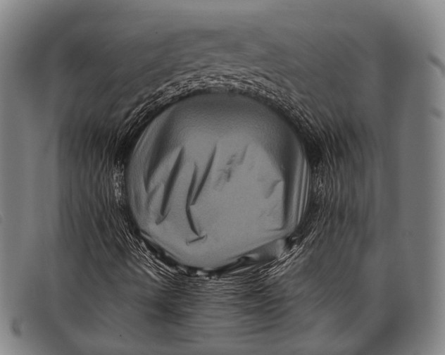X0000097841490200804041431
