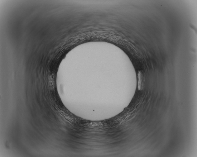 X0000097841491200804041431