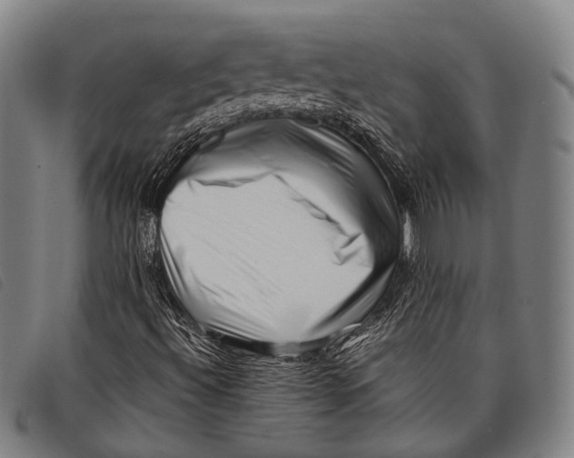 X0000097841492200804041431
