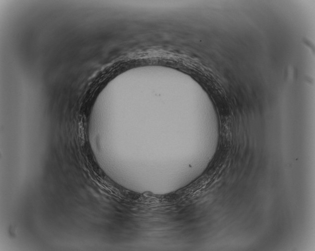 X0000097841493200804041431
