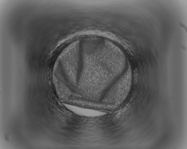 X0000097841494200804041431