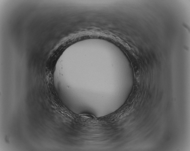 X0000097841495200804041431