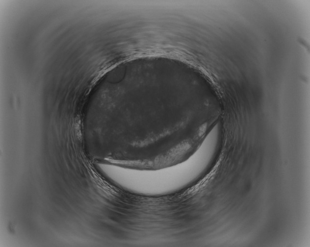 X0000097841497200804041431