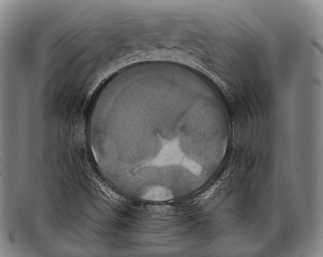 X0000097841498200804041431