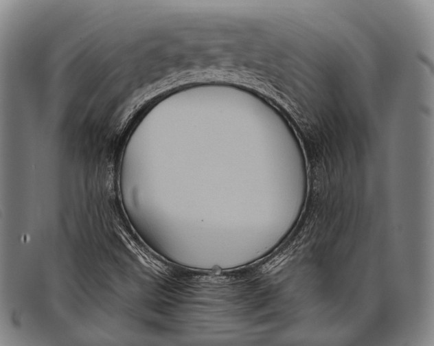 X0000097841499200804041431