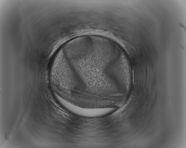 X0000097841501200804041431