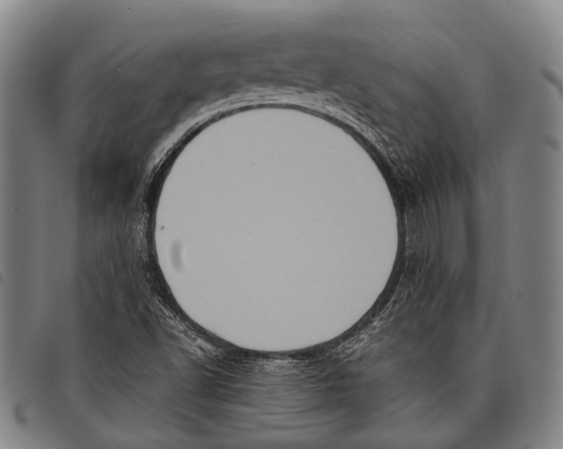 X0000097841502200804041431