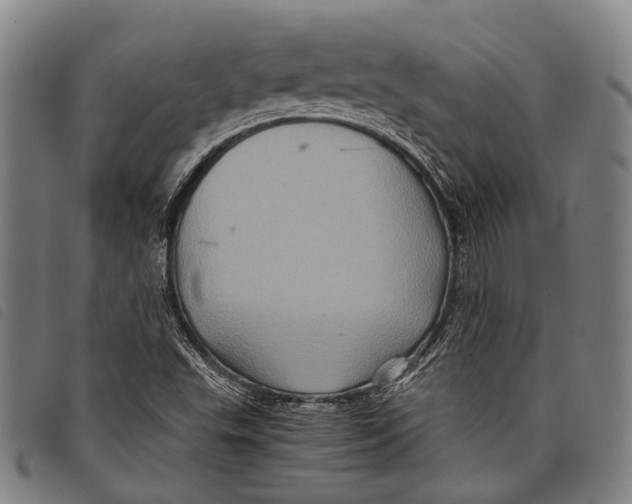 X0000097841503200804041431