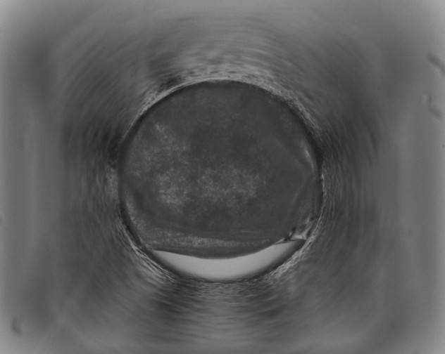 X0000097841505200804041432