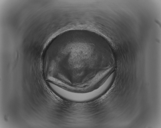 X0000097841506200804041432