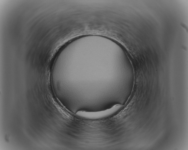 X0000097841507200804041432