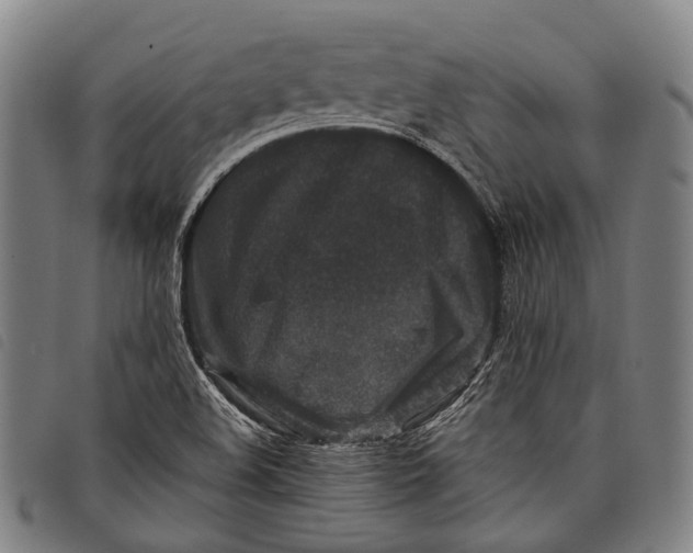 X0000097841508200804041432