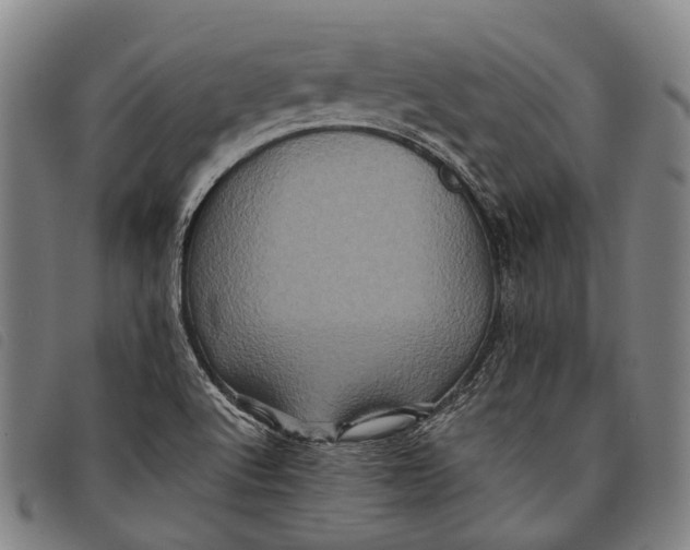 X0000097841512200804041432