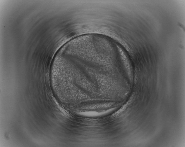 X0000097841513200804041432