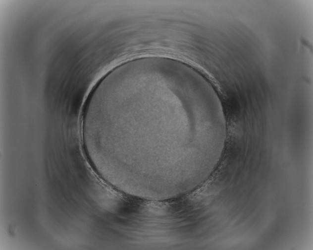 X0000097841514200804041432