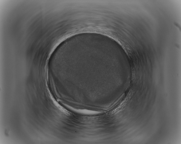 X0000097841515200804041432