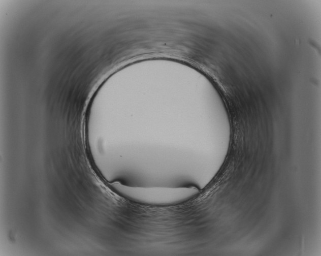 X0000097841516200804041432