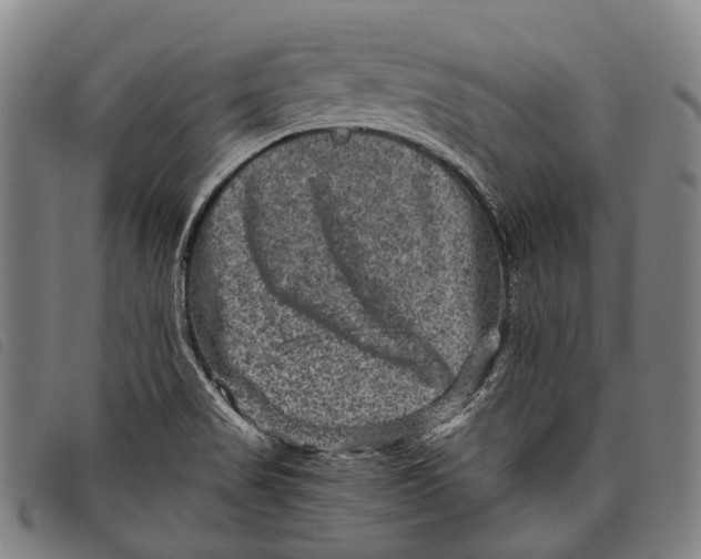 X0000097841517200804041432
