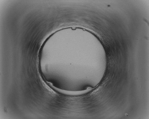 X0000097841518200804041432