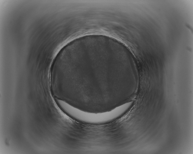 X0000097841519200804041432