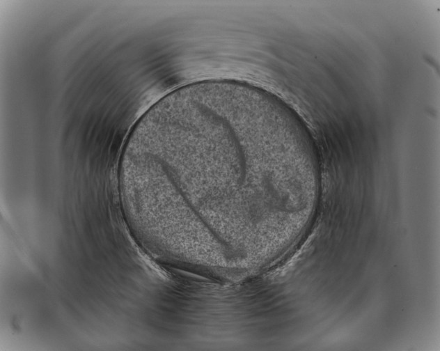 X0000097841521200804041432