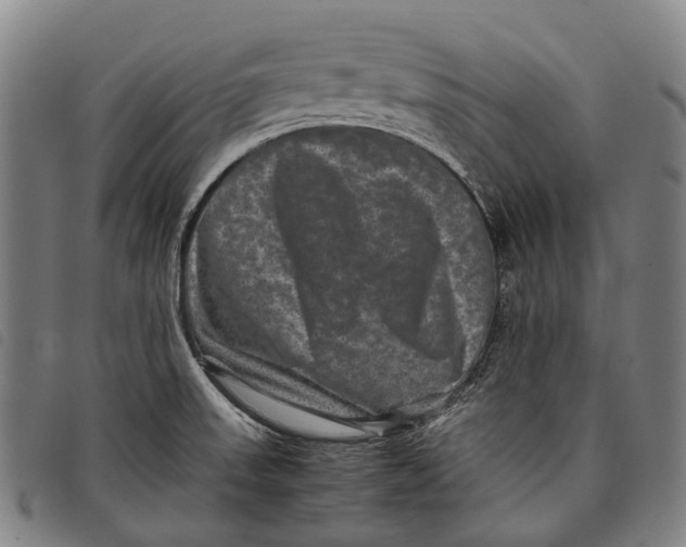 X0000097841523200804041432