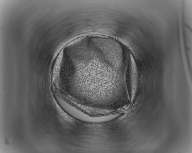X0000097841524200804041432