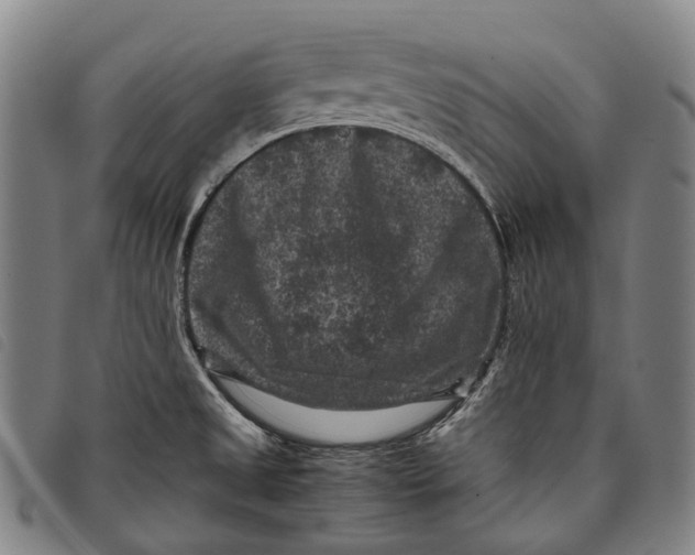 X0000097841525200804041432