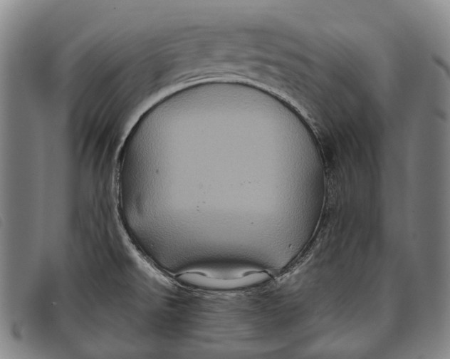 X0000097841526200804041432