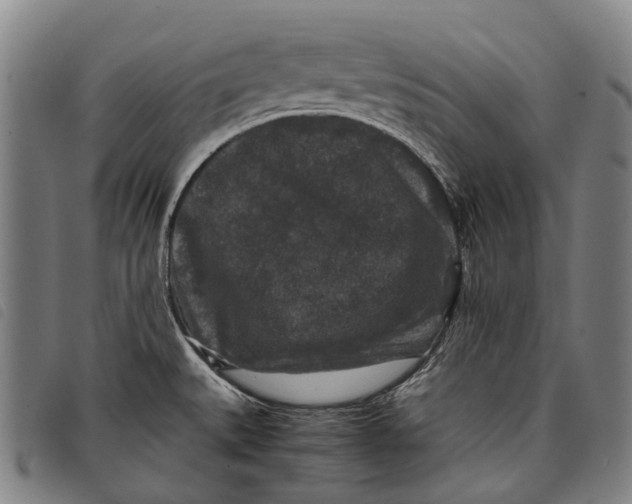 X0000097841527200804041432