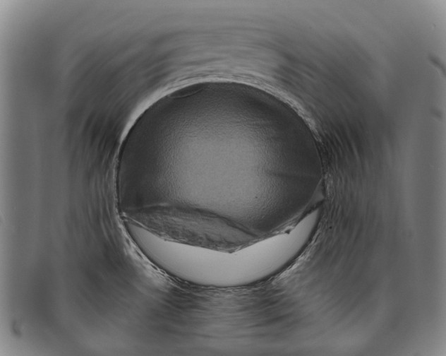 X0000097841530200804041432
