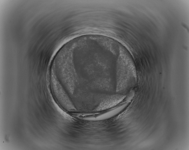 X0000097841531200804041432