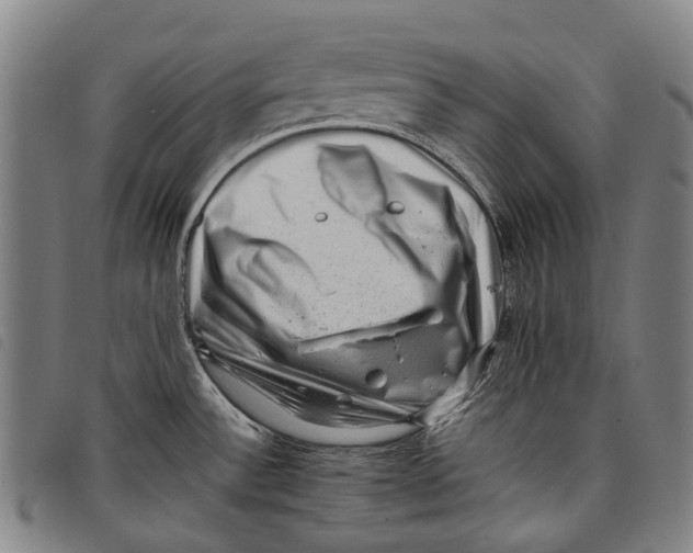 X0000097841532200804041432