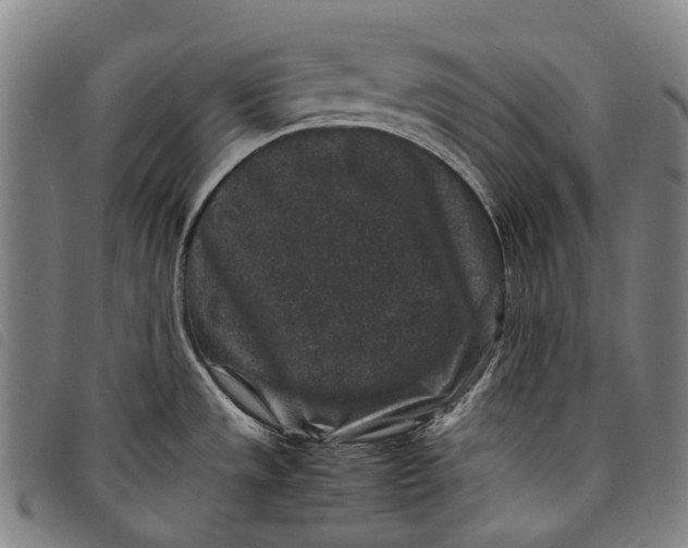 X0000097841533200804041432