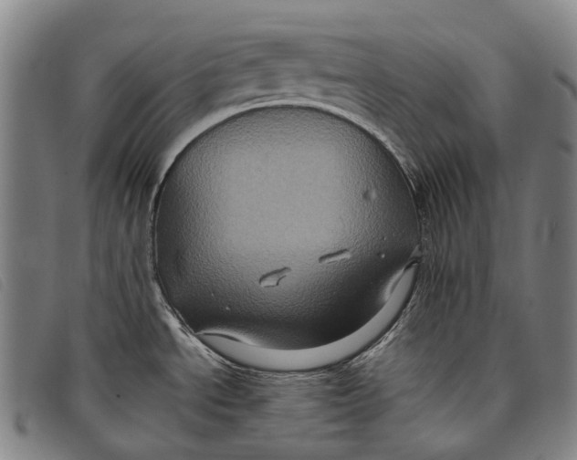 X0000097841534200804041432