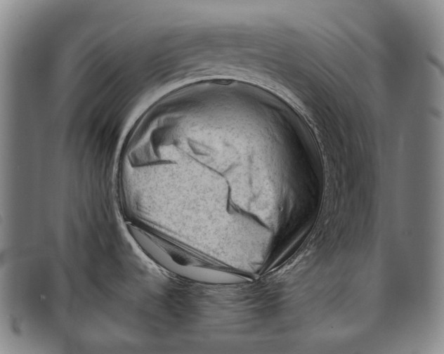 X0000097841536200804041432