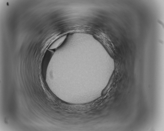 X0000097840001200804111116