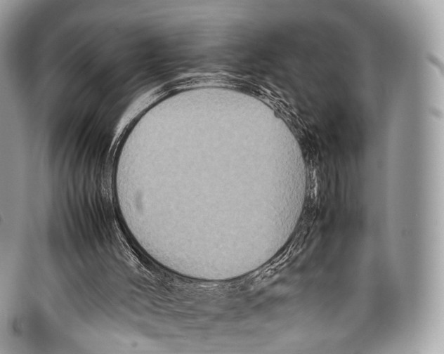 X0000097840004200804111116