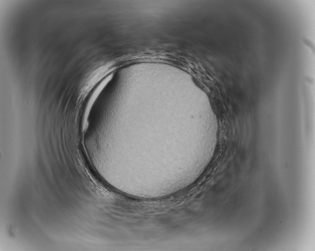 X0000097840005200804111116