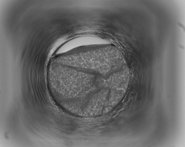 X0000097840006200804111116