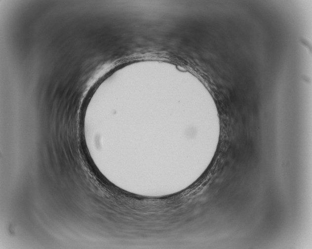 X0000097840008200804111116